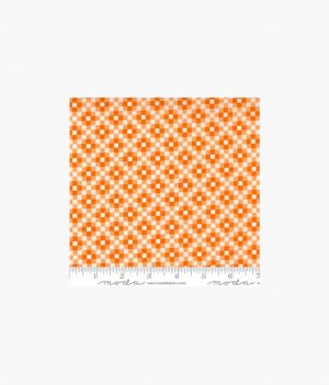 Love Lily Orange Blossom 24114 14