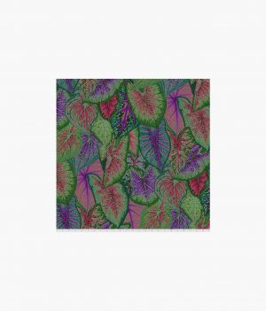 Caladiums - Dark