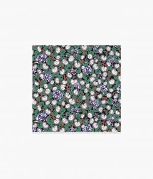 Climbing Geraniums - Black