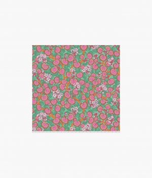 Climbing Geraniums - Duckegg