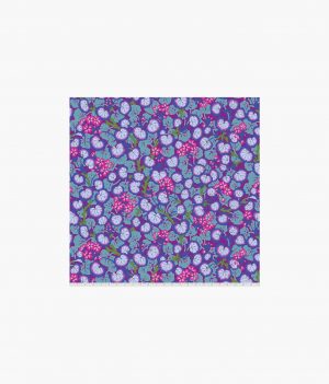 Climbing Geraniums - Purple
