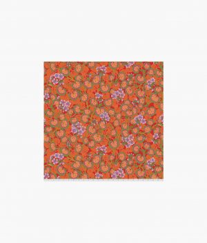 Climbing Geraniums - Red