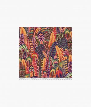 Feathers - Summer