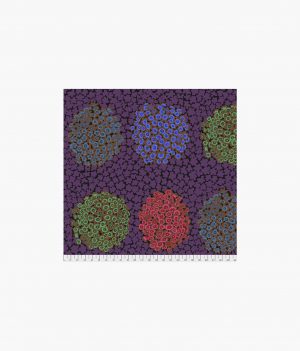 Hydrangea - Purple