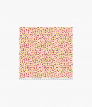 Primulas - Pink