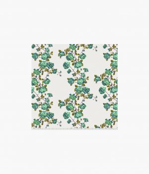 Social Climber - Lichen || Love Always, AM