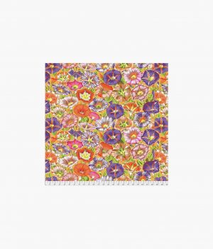 Variegated Morning Glory - Orange